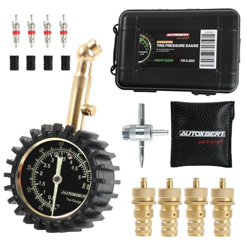 Reifendruckprüfer 0-5 bar mit 4-in-1-Werkzeug, 4pcs Ventileinsätze, 4pcs Ventilkappen Glow Dial Reifendruckmesser für Autos Motorrad Transporter (Reifendruckprüfer mit Reifen Deflator Set) von OEMASSIVE