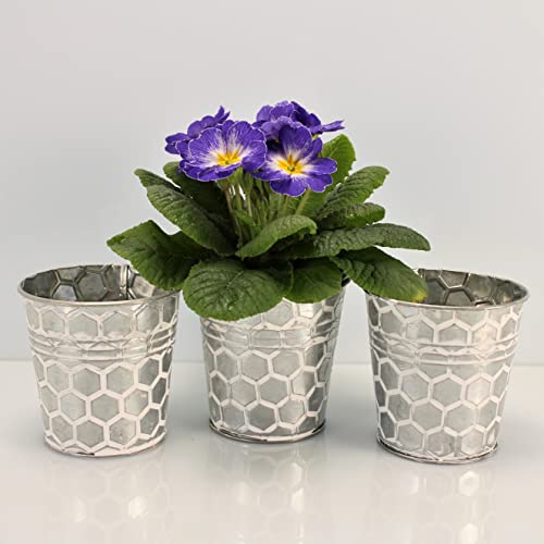 OF 3 Silberne Blumentöpfe aus Metall im Set mit Wabenmuster - Kräutertopf Blumentopf rund (3er Klein P65), Silber/Weiß von OF