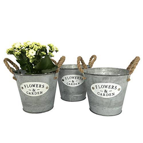 OF 3 runde Blumentöpfe, Eimer aus Zink und Schriftzug “Flowers & Garden“ - Garten Blumentopf Set (3 kleine Eimer P16) von OF