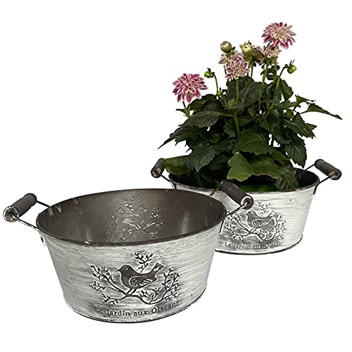 OF 2 Blumentöpfe mit Vogel Dekor im Set - Schalen aus Zink im Vintage Look - Garten Blumentopf Kräutertopf P39 von OF