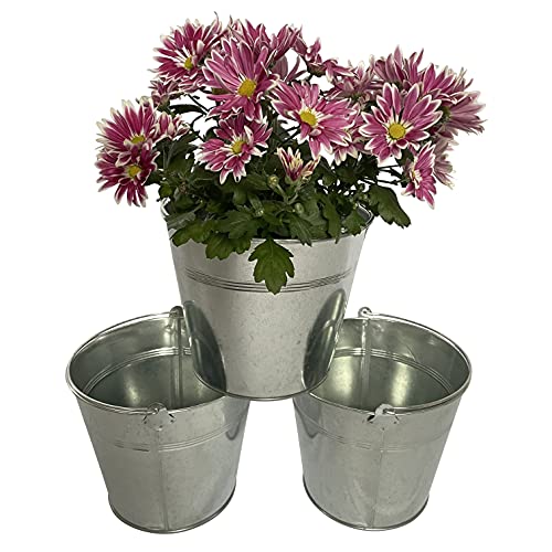 OF 3 Blumentöpfe Zinkeimer Silber im Set - Blumentopf aus Metall Eimer P45 von OF