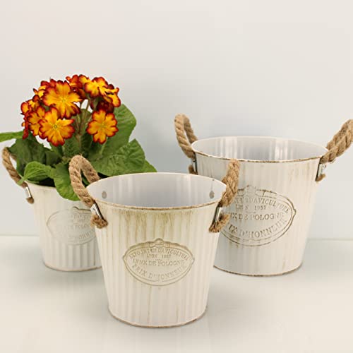 OF 3 Blumentöpfe aus Metall im Vintage Look - Blumentopf, Pflanzkasten Set Grün, Weiß, rund oder oval (Weiß P53) von OF