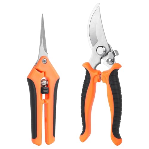OFFCUP Gartenschere Klein, 2 Stück Ernteschere Edelstahl Pflanzenschere, Präzise Pruning Shears Gartenarbeit Handschere Rosenscheremit mit Feststellgriff, Blumenschere für Bonsai, Blumen, Obst, Gemüse von OFFCUP