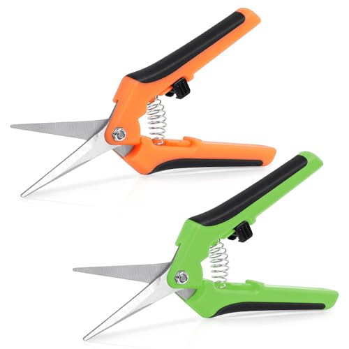 OFFCUP Gartenschere Klein, 2 Stück Ernteschere Edelstahl Pflanzenschere, Präzise Pruning Shears Gartenarbeit Handschere Rosenscheremit mit Feststellgriff, Blumenschere für Bonsai, Obst (Orange+Grün) OFFCUP Gartenschere Klein, 2 Stück Ernteschere Edelstahl Pflanzenschere, Präzise Pruning Shears Gartenarbeit Handschere Rosenscheremit mit Feststellgriff, Blumenschere für Bonsai, Obst (Orange+Grün) von OFFCUP
