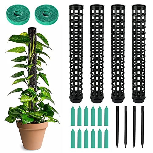 OFFCUP Moosstab Pflanzstab, 4pcs Monstera Rankhilfe, Monstera mit 12 Etiketten und 2 Rollen Klettverschluss, Rankhilfe für Zimmerpflanzen 100cm, für Gartenbepflanzung Efeutute Pflanzenunterstützung von OFFCUP