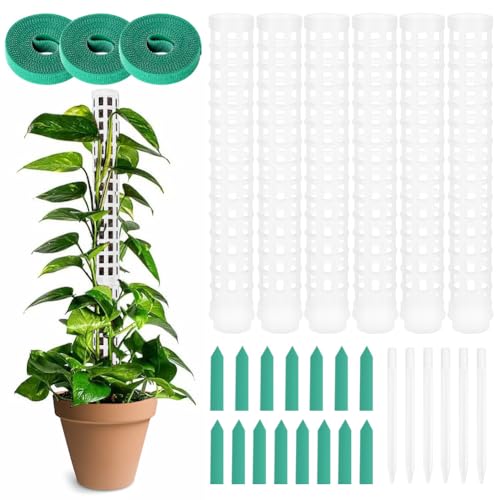 OFFCUP Moosstab Pflanzstab, 6pcs Monstera Rankhilfe, Monstera mit 15 Etiketten und 3 Rollen Klettverschluss, Rankhilfe für Zimmerpflanzen 150cm, für Gartenbepflanzung Efeutute Pflanzenunterstützung OFFCUP Moosstab Pflanzstab, 6pcs Monstera Rankhilfe, Monstera mit 15 Etiketten und 3 Rollen Klettverschluss, Rankhilfe für Zimmerpflanzen 150cm, für Gartenbepflanzung Efeutute Pflanzenunterstützung von OFFCUP