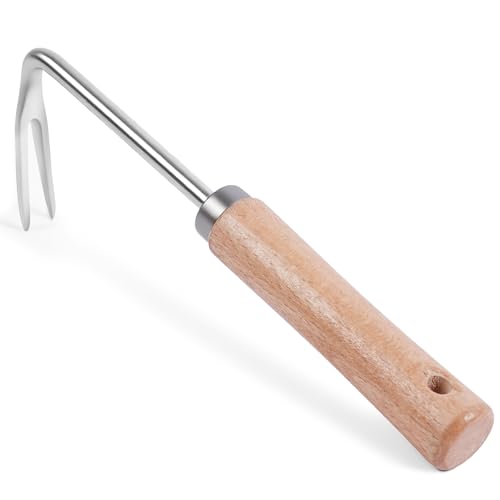 OFFCUP Unkrautstecher Edelstahl Unkrautentferner Unkrautjäter Unkraut Entferner Gerät Wurzeljäter Gartenarbeit Hand Entwurzelungswerkzeug mit Holzgriff für Garten zum Graben Umpflanzen Jäten OFFCUP Unkrautstecher Edelstahl Unkrautentferner Unkrautjäter Unkraut Entferner Gerät Wurzeljäter Gartenarbeit Hand Entwurzelungswerkzeug mit Holzgriff für Garten zum Graben Umpflanzen Jäten von OFFCUP
