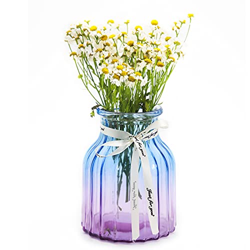 OFFIDIX Glasvase Gradient Multicolor Vase, Zuhause, Büro, Wohnzimmerdekoration Glasblumenvase (Blau Lila) von OFFIDIX