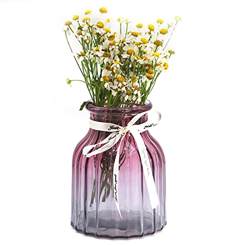 OFFIDIX Glasvase Gradient Multicolor Vase, Zuhause, Büro, Wohnzimmerdekoration Glasblumenvase (Lila Grau) von OFFIDIX