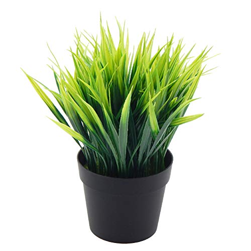 OFFIDIX Künstliche Pflanzen Faux Plastic Wheat Grass Mit Vase Gefälschte Grünsträucher für Indoor und Outdoor Home Office Garten Dekorationen von OFFIDIX