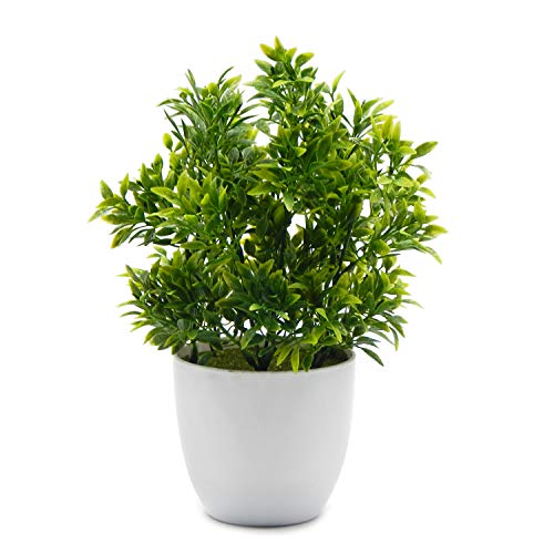 OFFIDIX Künstliche Pflanzen Mini-Kunststoff-Eukalyptus-Pflanzen für die Heimdekoration Gefälschte Pflanze Kunstplastik-Pflanzen mit weißer Vase von OFFIDIX