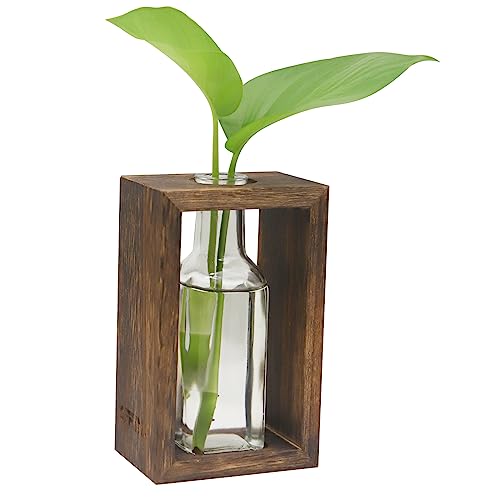 OFFIDIX Pflanzenvermehrungsstationen, Desktop-Glas-Pflanzenterrarium mit Holzständer, Glas-Pflanzgefäß, Blumenvase mit 1 Glas für Hydrokulturpflanzen, Büro, Heimdekoration von OFFIDIX