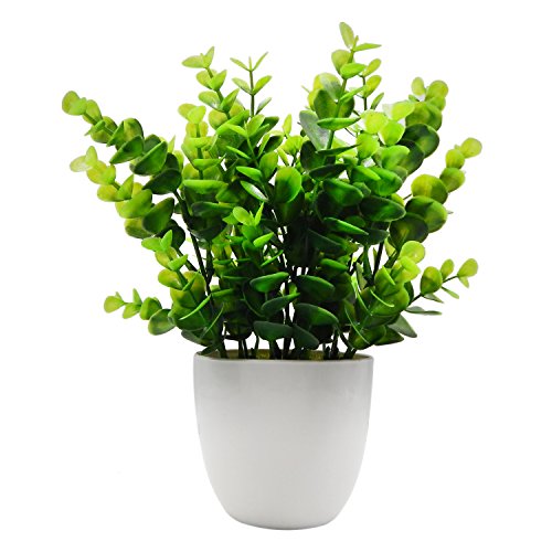 OFFIDIX Mini Kunststoff Eukalyptus Künstliche Pflanzen mit Vase für Schreibtisch, Home und Friends 'Geschenk Fake Anlage mit Plastik Töpfe für Home Dekoration (Grün) von OFFIDIX