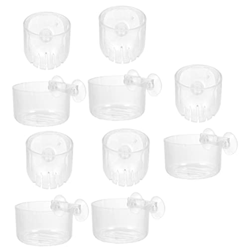 OFFSCH 10 Stück Teiliges Aquarienpflanzenhalter Hochwertigem Acryl Transparente Wasserpflanzentöpfe mit Loch und Saugnapf Langlebig und Geeignet für Süß und Salzwasserfische von OFFSCH