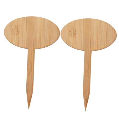 OFFSCH 20 Stück Sukkulenten Schilder Pflanzenmarkierungen Sämlingsetiketten Schilder Pflanzenschilder Gartenmarkierungen Für Den Innenbereich Gartenarbeit Etiketten von OFFSCH