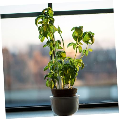 OFFSCH 20 Stück Teiliges Pflanzenstützen Flexiblen Rankhilfen und Wiederverwendbaren Pflanzenbindern Vielseitige Gartenstütze für Topfpflanzen Kletterpflanzen und Orchideen Fördert von OFFSCH