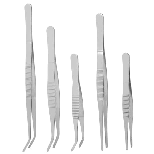 OFFSCH 5 Stück Teiliges Edelstahl Pinzetten für Gartenarbeit Präzise DIY Succulent Gartenwerkzeuge mit Ergonomischem Griff Handlich Leicht für Kleine Pflanzen und Mooslandschaften OFFSCH 5 Stück Teiliges Edelstahl Pinzetten für Gartenarbeit Präzise DIY Succulent Gartenwerkzeuge mit Ergonomischem Griff Handlich Leicht für Kleine Pflanzen und Mooslandschaften von OFFSCH