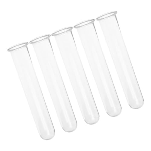 OFFSCH 5 Stück Teiliges Wasserpflanz Röhrchen Kleine Vintage Glasvasen für Pflanzenvermehrung und Blumenarrangements Dekorative Terrarium Pflanzgefäße Transparent als Tischdeko und von OFFSCH