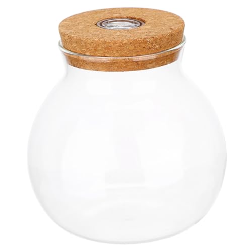 OFFSCH Klares Glas-Terrarium mit Led-Beleuchtung Rundes Hydroponik-pflanzengefäß mit Luftdichtem Korkdeckel Kleine Pflanzstation für Zimmerpflanzen und Dekoration im Büro und Zuhause OFFSCH Klares Glas-Terrarium mit Led-Beleuchtung Rundes Hydroponik-pflanzengefäß mit Luftdichtem Korkdeckel Kleine Pflanzstation für Zimmerpflanzen und Dekoration im Büro und Zuhause von OFFSCH