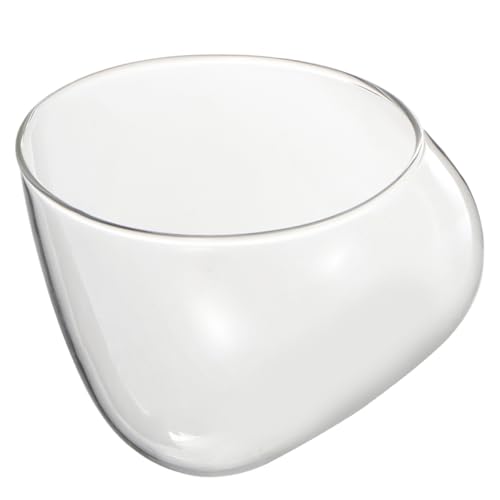 OFFSCH Mikrolandschafts glasflasche Schräger Glasbehälter für Moos Terrarium Desktop Micro Landscape Bottle Nachhaltiger umweltfreundlicher Flaschenkübel für Innenraumdekoration von OFFSCH