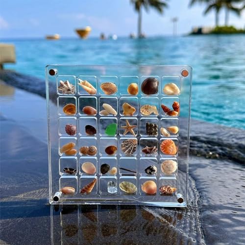 OFGAOO 36 Fächer Acrylic Magnetic Seashell Display Box, Multifunktionaltransparent Muschel Box Diamant Edelstein Schmuck Organizer Box Aufbewahrungsbox Display-Organizer von OFGAOO