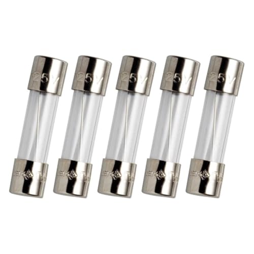 5 stücke 10A 250V Träge Glas Sicherung 5x20mm T10A GDC 10AL- von OFYPCURI