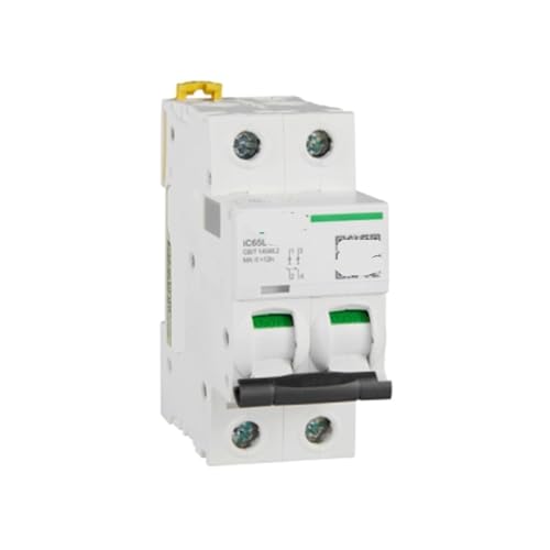Miniatur-Leistungsschalter iC65L MA 2P 25A | von OFYPCURI