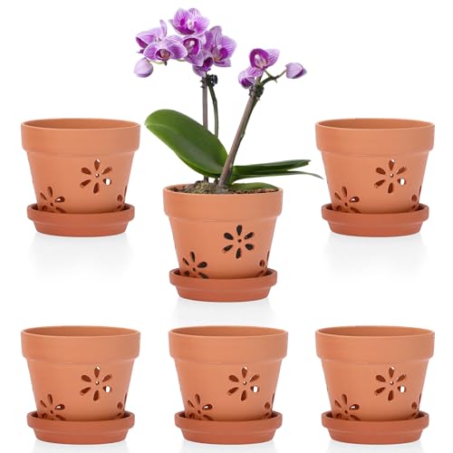 OGANAZI 6 Stück Terracotta Blumenkasten mit Abnehmbarem Untersetzer 10,1 cm Klein Pflanztöpfe Atmungsaktive Blumentöpfe mit Abflussloch Indoor Übertopf Set Balkon Kräutertopf Outdoor Pflanzschalen von OGANAZI