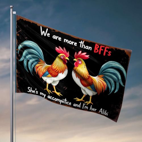 Flaggen für Studentenwohnheim mit Aufschrift "We Are More Than Bffs She's My Accomplice, And I'M Her Alibi Flagge, Man Cave Rules", für Teenager (152 x 244 cm) von OGBD