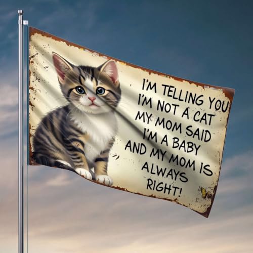 Lustige Flaggen für Jungs, I'm Not A Cat, My Mom Said I'M A Baby, Studenten-Flagge, Sportlerflagge, Gamer-Zubehör (152 x 244 cm) von OGBD