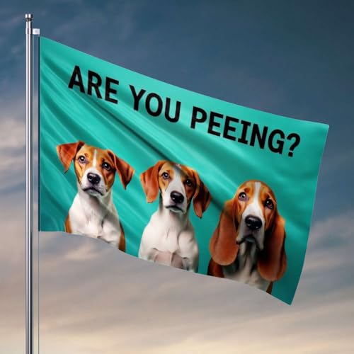 Lustige Flaggen für Zimmer, Jungs sind Sie pinkeln? Hunde fragen Flagge Pool Stuff Deck Dekor (120 x 180 cm) von OGBD