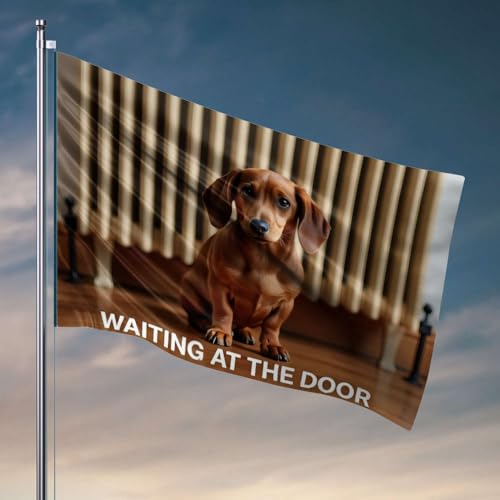 Lustige Wandflaggen, Motiv: Ein Dackel sitzt geduldig an der Tür, Männerhöhle, Dekoration und Zubehör, lustige Flaggen (30 x 45 cm) von OGBD