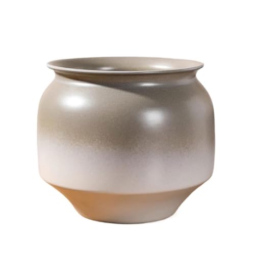 OGOODLE Blumentopf Schlichter Weißer Zen-Orchideen-Bonsai-Blumentopf for Zuhause, Grüne Pflanze, Pflanzbehälter Einfacher Übertopf von OGOODLE