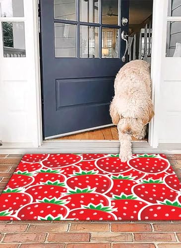 OHJEAJDS Badezimmerteppich rutschfest Badematte 40x 60 cm,Badteppich Saugfähig Weich Maschinenwaschbar für Badezimmer,Früchte, Erdbeere Themen Botanik Samen Leckeres Essen Bio Wachstum Ernährung Ges von OHJEAJDS