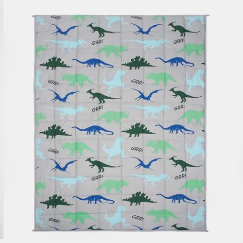 OHS Gewichtsdecke 3kg Dino, Schwere Decke 100 x 150 cm 3kg(6.6lb) Gewichtsdecke Erwachsene Grau Weighted Blanket - (Haftungsausschluss: Nur für Kinder ab 3 Jahren geeignet) von OHS
