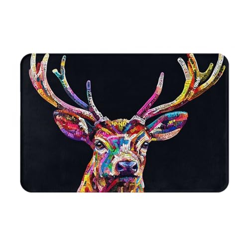 OIBNKCN Mysterious Rainbow Deer vielseitige Fußmatte, langlebig, leicht zu reinigen, rutschfeste Fußmatte für Haustür, Eingang und Heimdekoration von OIBNKCN