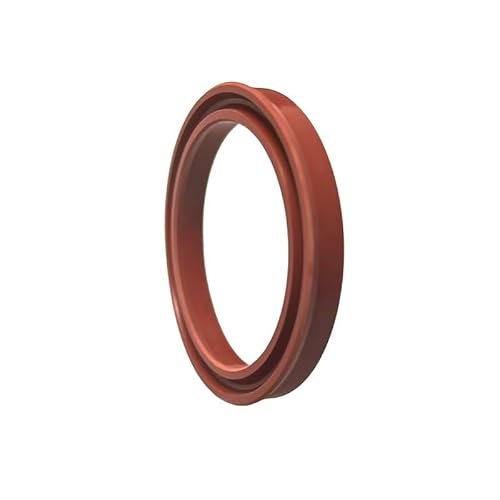 USH Hydrauliköldichtungssatz – Fluorkautschuk, Doppellippe – 11,2–275 mm Innendurchmesser for die Reparatur von Zylinderkolbenstangen(55x65x6(1pcs)) von OIEWRYZLE