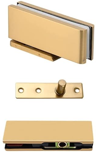 OIFAODAO, 1 Satz Glastürscharniere Hydraulikpuffer Zapfenscharniere Edelstahl gebürstet Glasklemmen Badklemmen Duschtürbeschläge for 10-12mm Hartglas ，Glasscharniere(Titanium) von OIFAODAO