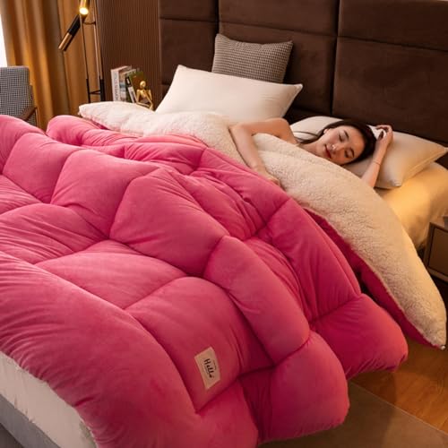 Daunendecke Kaschmir Steppdecke Verdickte Superweiche Isolierung Wintersteppdecken Kaschmir Und Doppelte Stoffe Wärme Flauschige Plüschseitige Decke Doppelseitige Steppbettwäsche B,180 * 220CM von OIJHHFYGDK