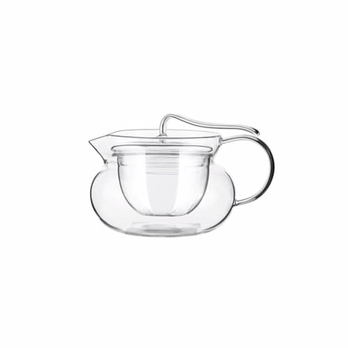 OIJHHFYGDK Klassischer, kreativer, transparenter Heimbrauer aus Glas mit Sieb, Früchteteekessel, Teeservice, Behälter 450 ml/15,8 oz, einfach zu verwenden von OIJHHFYGDK