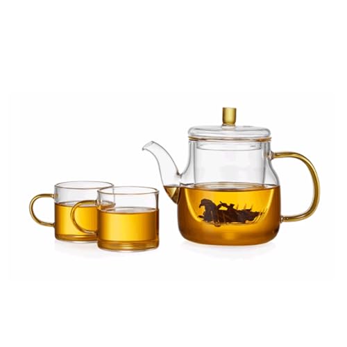 OIJHHFYGDK Teetassen-Set aus Glas für die Arbeitsplatte mit Teesieb und Deckel, transparent, großes Fassungsvermögen 21,1 oz/600 ml von OIJHHFYGDK