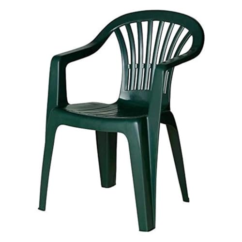 OISE ART STORE Trade Shop - Set mit 2 Gartenstühlen Monoblock-Sessel mit Armlehnen, Farbe Grün 020362 - von OISE ART STORE