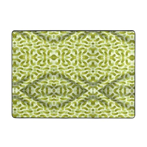 OKFSTY Sushi Dill Pickles Bedruckter Flanell-Teppich, 203 x 147 cm, winterfertig, rutschfester Teppich für Schlafzimmer, Balkon, saugfähig, langlebig von OKFSTY