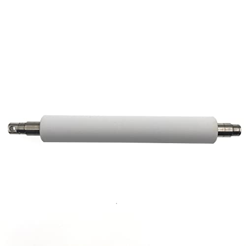 OKLILI 1 x 79815M P1058930-080 Liner Platen Roller Montage-Set, kompatibel mit Zebra ZM400 ZT410 ZT411 203dpi 300dpi 600dpi Drucker (nur Roller) von OKLILI