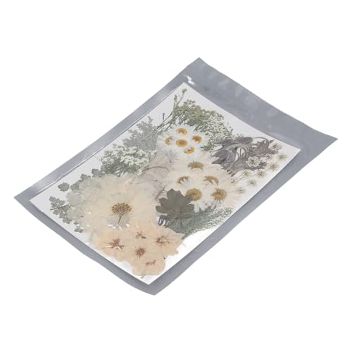 100 Prozent farbenfrohe gepresste Blüten getrocknete Blätter Bulk Kit für DIY -Handwerk und Harzform - Vorräte für verschiedene kreative Projekte, transparente Verpackung 100 Prozent farbenfrohe gepresste Blüten getrocknete Blätter Bulk Kit für DIY -Handwerk und Harzform - Vorräte für verschiedene kreative Projekte, transparente Verpackung von OKOVO
