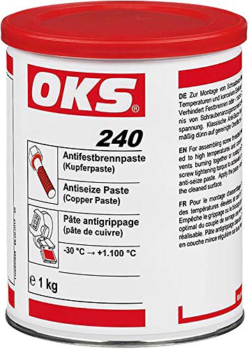 FORMAT 4038127200702 – Antifestbrennpaste 1 kg oks240 von Format