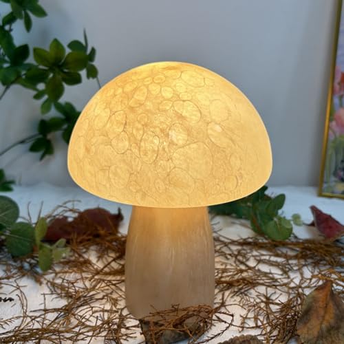 OKSANO Pilz Lampe Nachttischlampe Mit 3-Ton Licht Handgemachte Glas Pilz Dekoration Schlafzimmer Schlafsaal Kinderzimmer Wohnzimmer Küche deko lampe Pilz Lampe Tischleuchte OKSANO Pilz Lampe Nachttischlampe Mit 3-Ton Licht Handgemachte Glas Pilz Dekoration Schlafzimmer Schlafsaal Kinderzimmer Wohnzimmer Küche deko lampe Pilz Lampe Tischleuchte von OKSANO