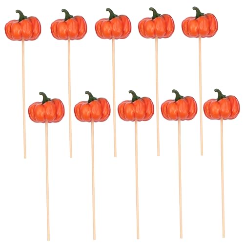 OKUMEYR 1satz Kürbis Blumenstecker Deko-Pumpkins Für Halloween Herbstdeko Für Bouquets Und Kreative Arrangements OKUMEYR 1satz Kürbis Blumenstecker Deko-Pumpkins Für Halloween Herbstdeko Für Bouquets Und Kreative Arrangements von OKUMEYR