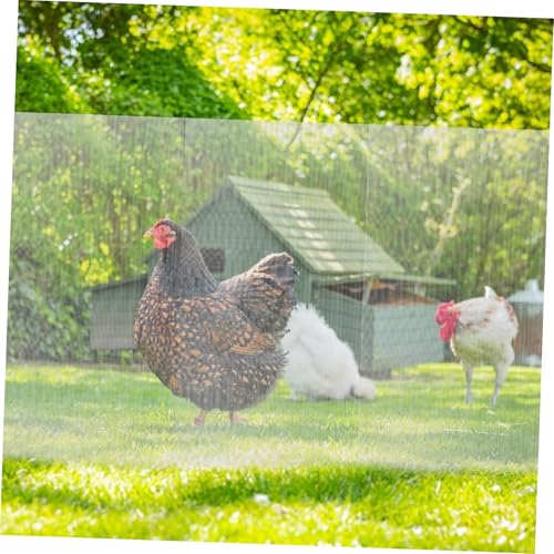 OKUMEYR Edelstahl Maschendraht Rolle Feinmaschig Schutznetz für Fenster Türen Insektenschutz Fliegengitter Vielseitig Einsetzbar als Türschutz Lebensmittelabdeckung Hühnerzaun OKUMEYR Edelstahl Maschendraht Rolle Feinmaschig Schutznetz für Fenster Türen Insektenschutz Fliegengitter Vielseitig Einsetzbar als Türschutz Lebensmittelabdeckung Hühnerzaun von OKUMEYR