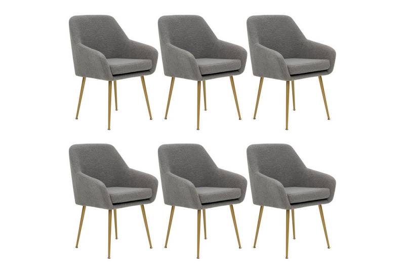 OKWISH Stuhl Loungesessel,Esszimmerstühle aus Teddyfell,Esstisch-Set (moderner Esszimmerstuhl aus Teddyfell, abnehmbares Kissen, stabile Metallbeine mit verstellbaren Füßen für Esszimmer, Küche und Büro,Komfort & Design, 6 St) von OKWISH